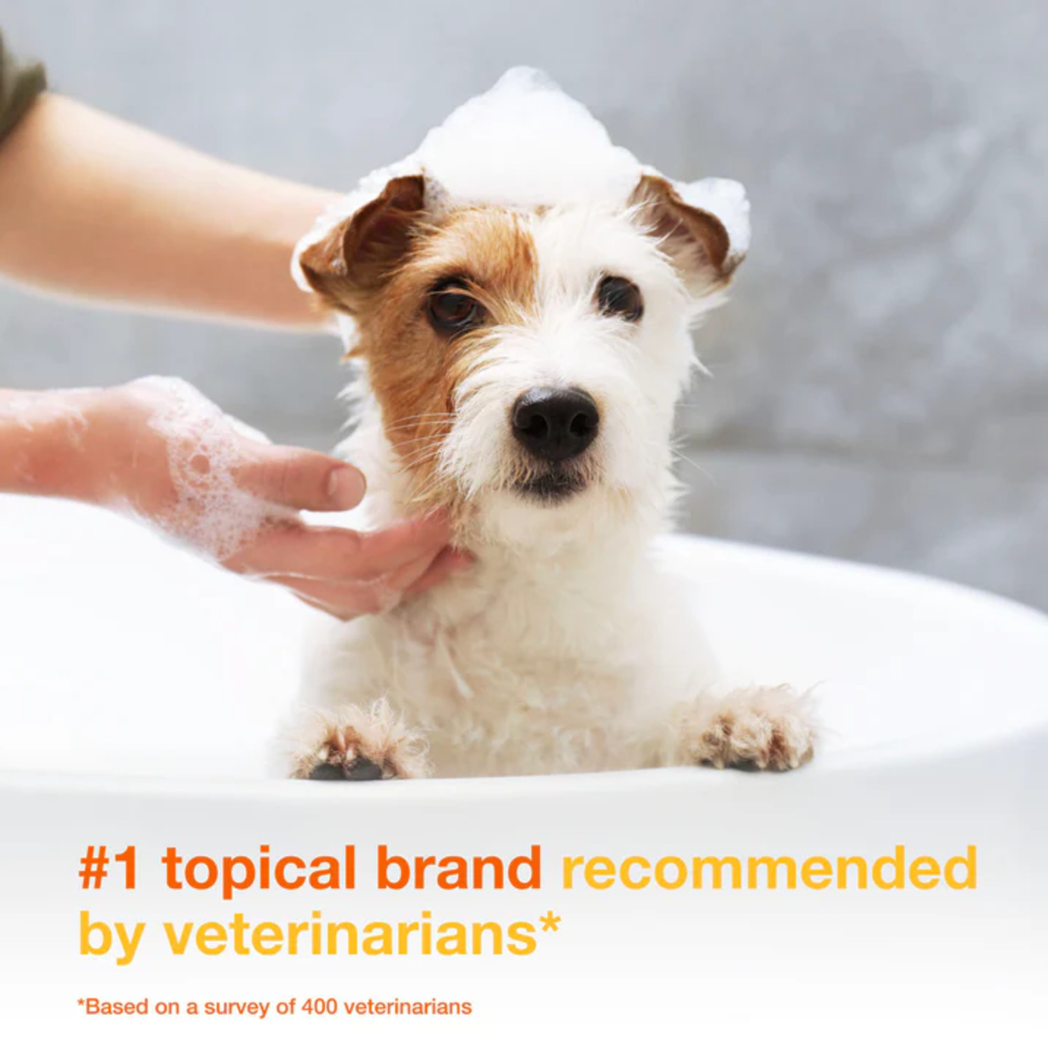 Douxo S3 Pyo Antiseptic Antifungal Chlorhexidine Dog & Cat Cleansing Wipes, 30 Count
