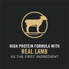 Focus Puppy Lamb & Rice Formula Dog Food thumbnail number 20