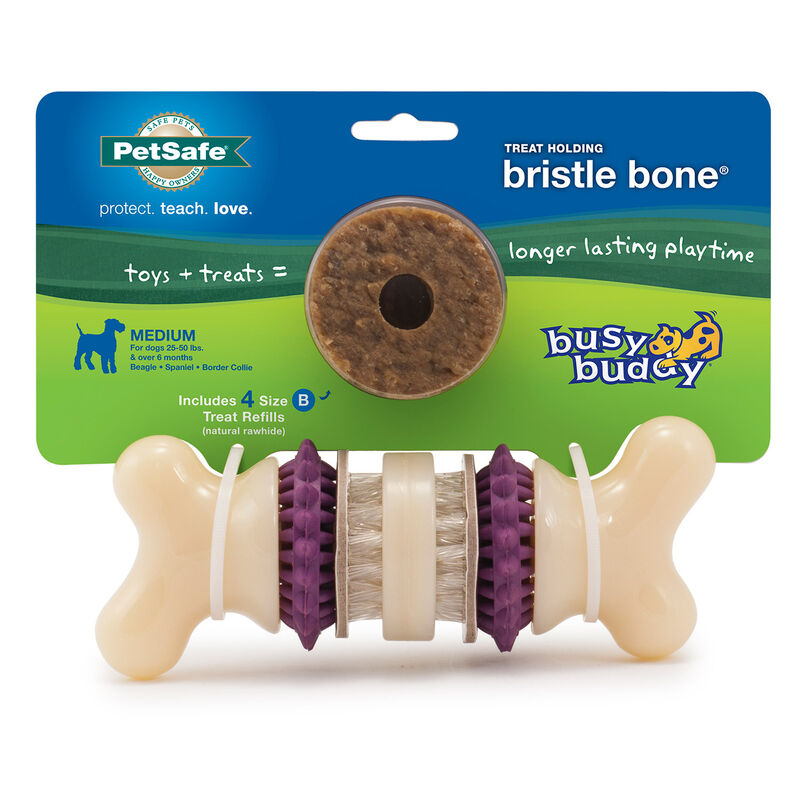Bristle Bone image number 1