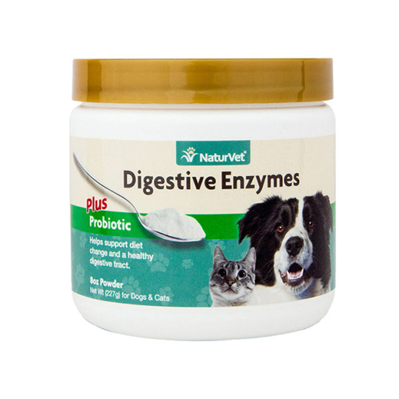 Digestive Enzymes Plus Probiotics - Powder image number 2