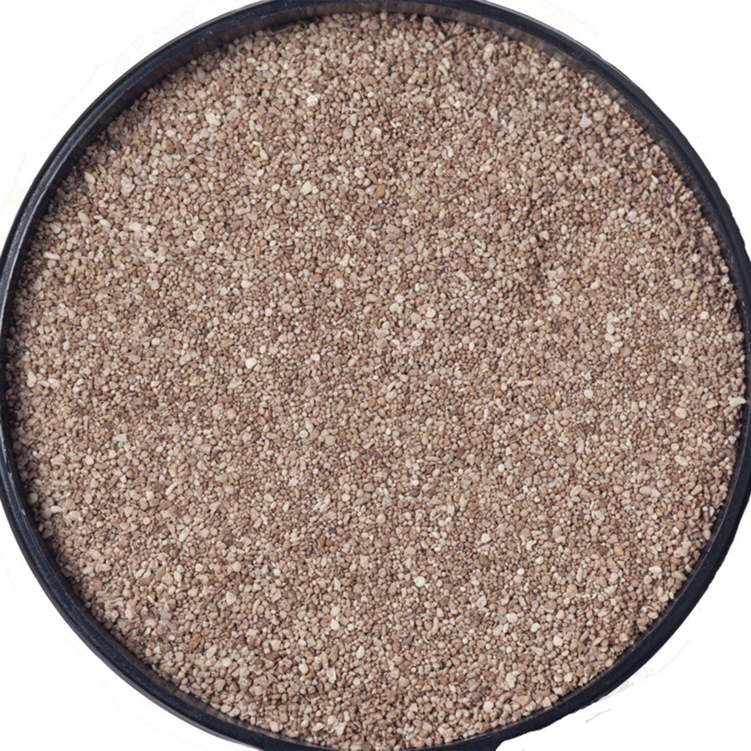 Carib Sea Reptilite Sand Baja Tan Substrate For Reptiles