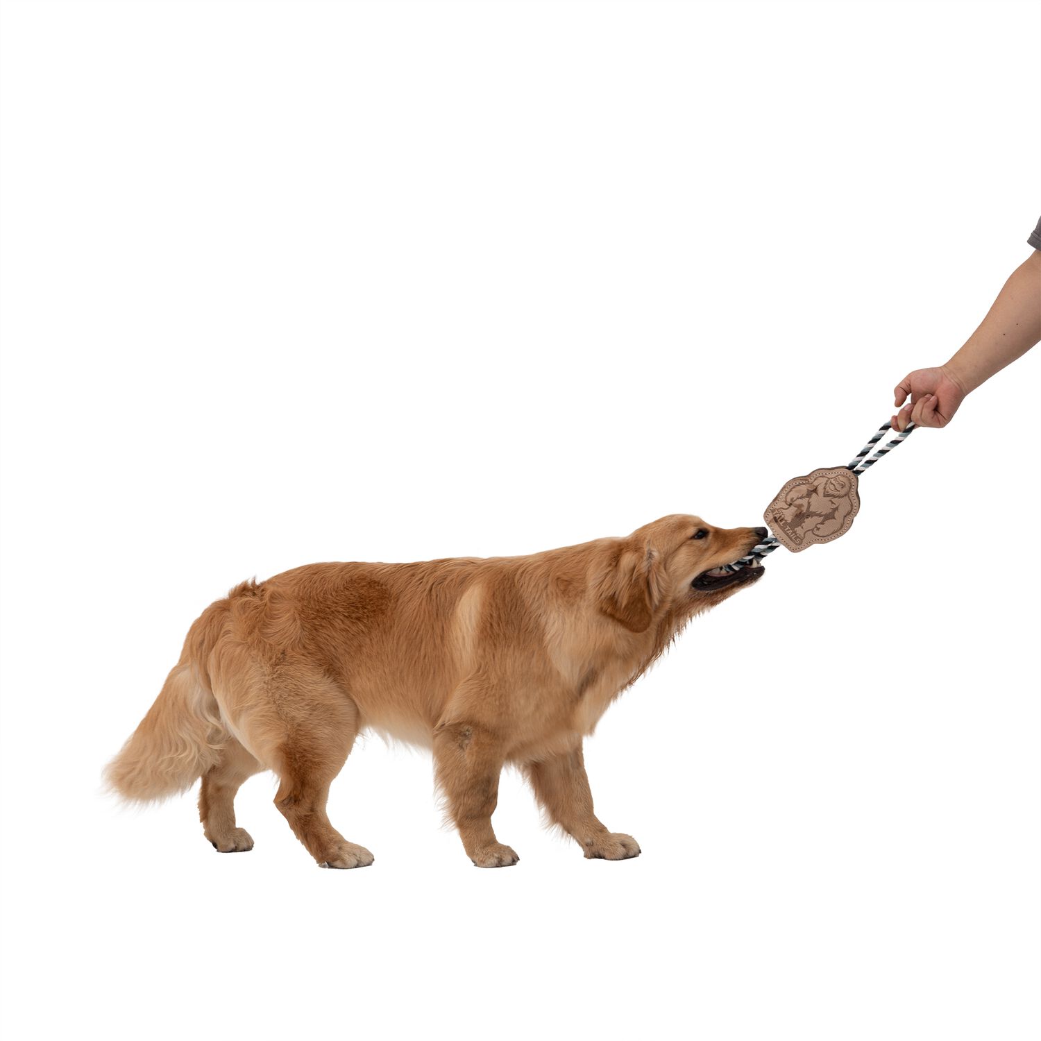Tall Tails Natural Leather Big Foot Rope Tug Dog Toy, 16-Inch