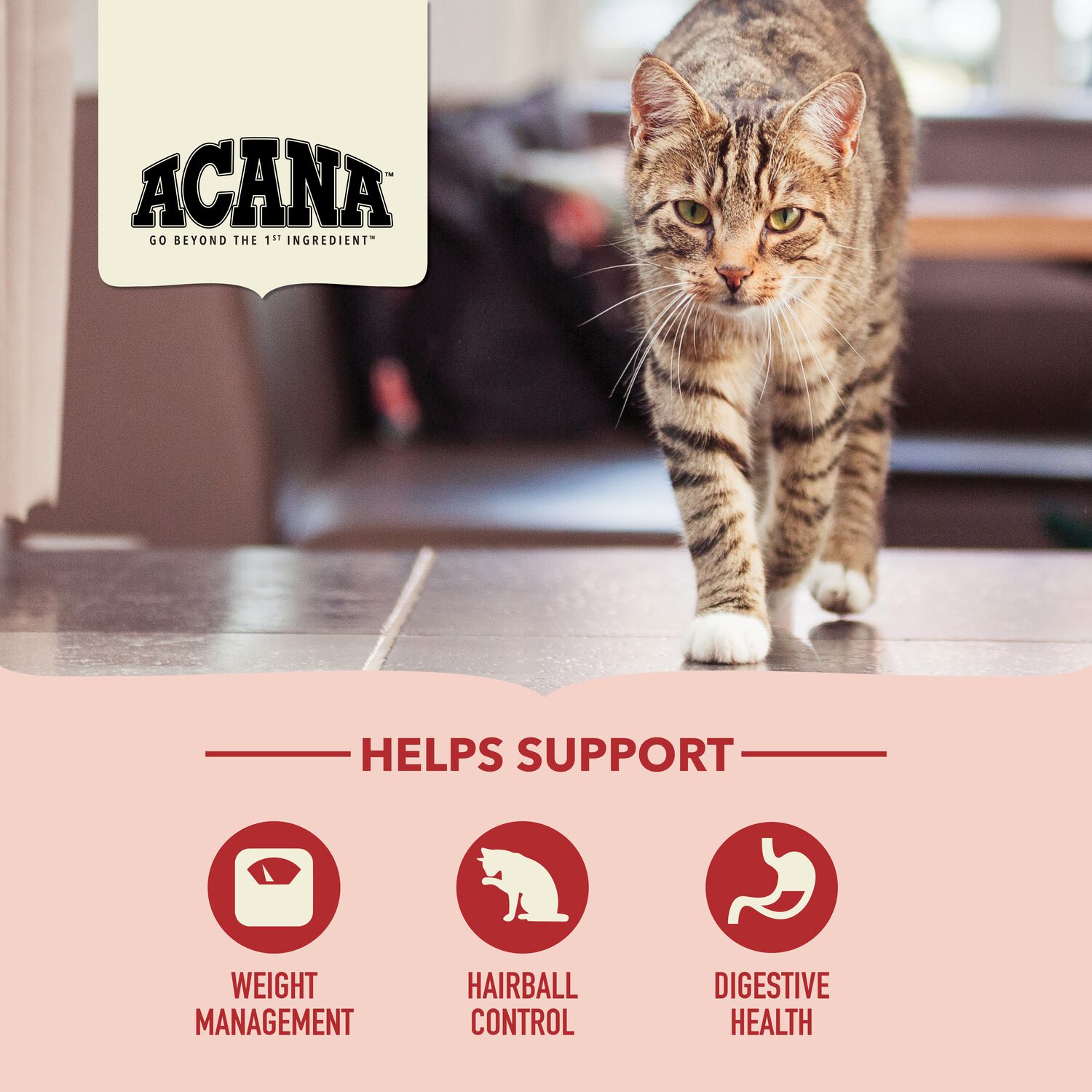 Acana Indoor Entr&eacute;e For Indoor Cats, Chicken Turkey Whole Herring & Rabbit Dry Cat Food, 4-Lb
