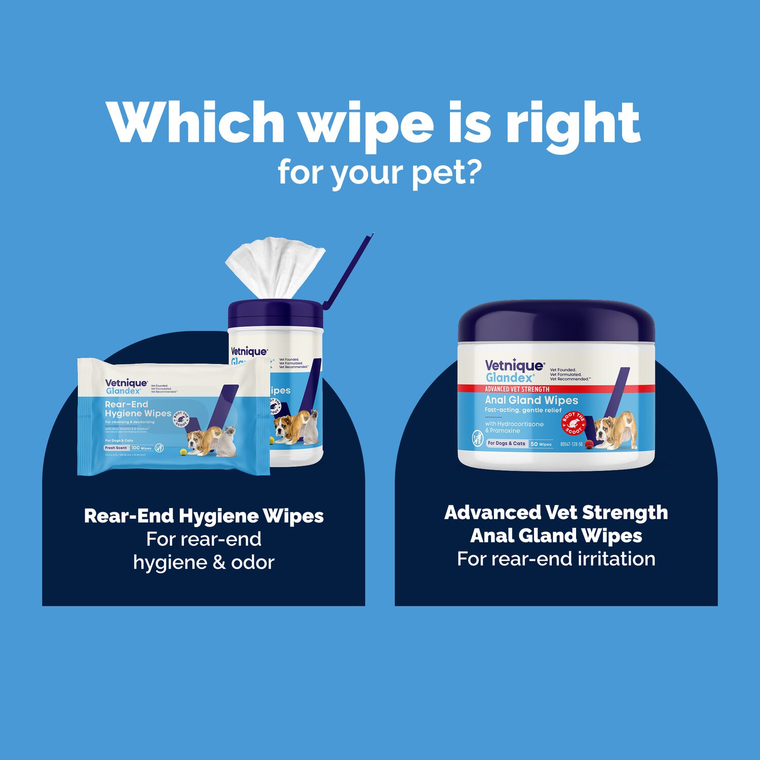 Vetnique Glandex Rear End Wipes For Dogs & Cats, Anal Gland Hygiene | Deodorizing Dog & Cat Wipes For Paws & Butt, Boot The Scoot With Deoplex Enzyme, Aloe & Vitamin E, Alcohol Free, 75-Ct