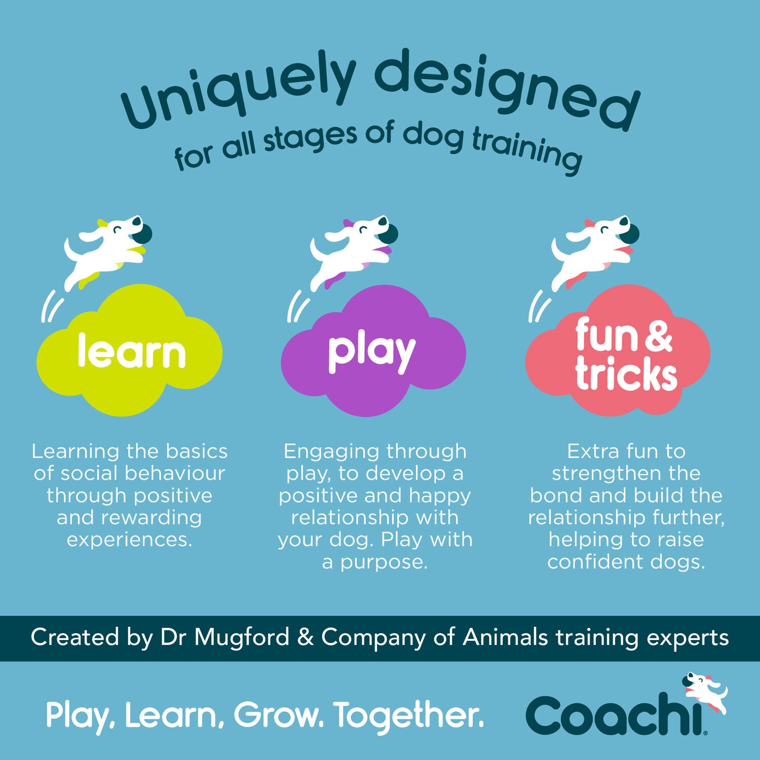 Coachi Pro Train & Treat Bag For Dog Training, Navy & Light Blue