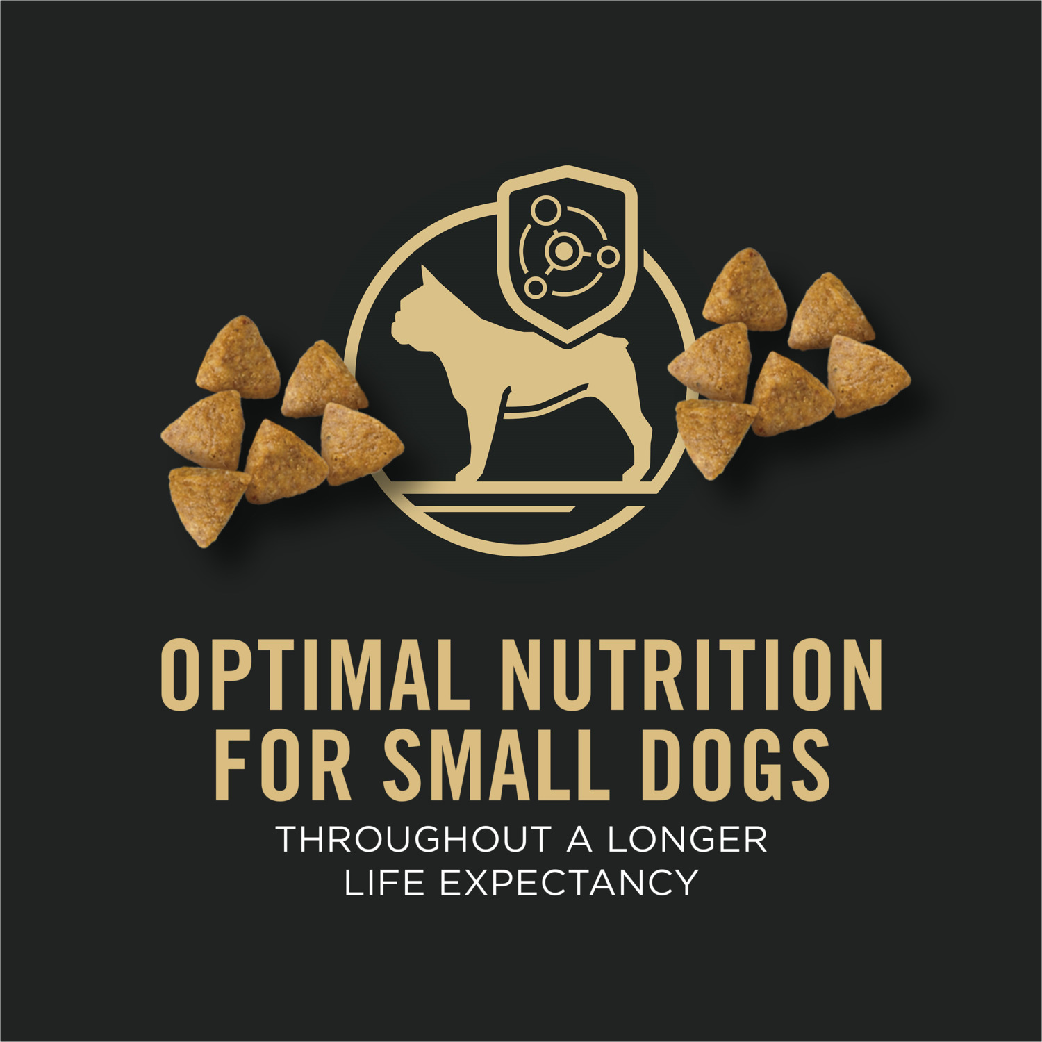Purina Pro Plan Small Breed Dry Dog Food Chicken And Rice Formula With Guaranteed Live Probiotics, 6Lb