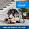 Pet Safe® Busy Buddy Chompin' Chicken Treat Dispensing Dog Toy