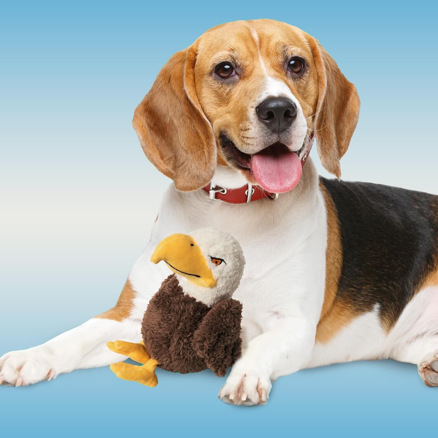 Spot Love The Earth Plush Squeaky Bird Dog Toy ,8", Assorted Birds