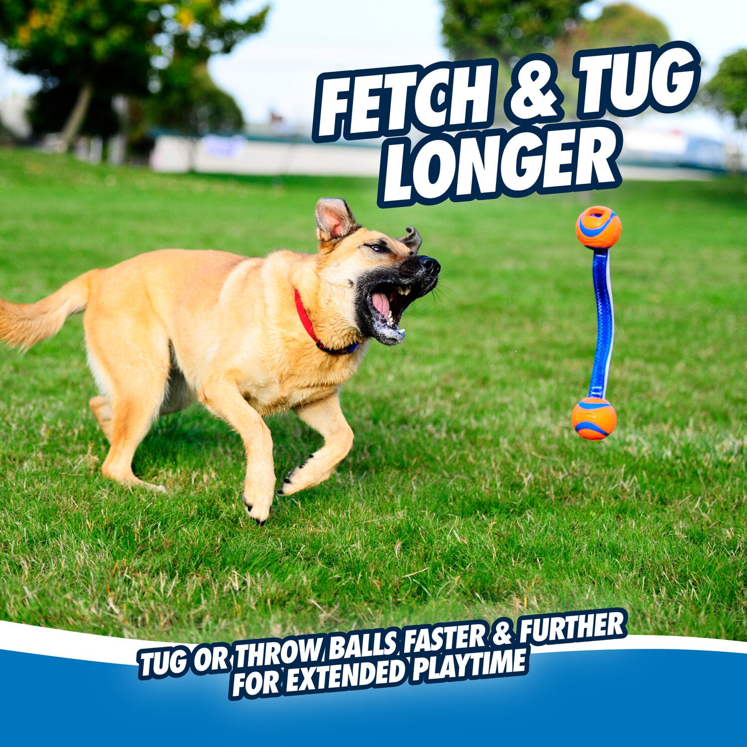 Chuckit! Ultra Duo Tug Dog Toy, Medium