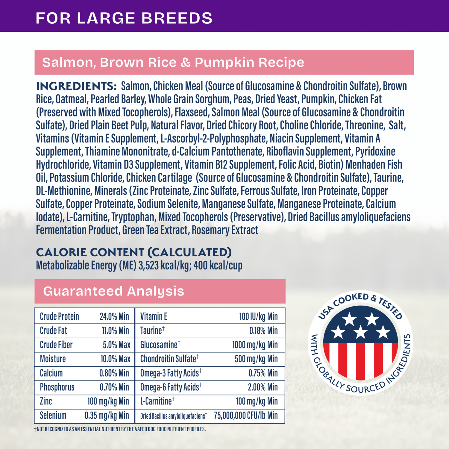 Natural Balance Health Protection Large Breed Dry Dog Food, Salmon & Rice Recipe, 26-Lb Bag