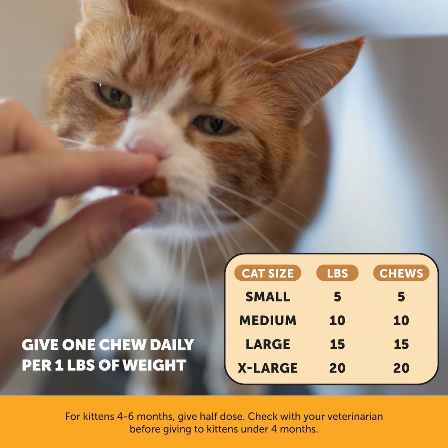 Pet Honesty Dual Texture Chicken Flavored Immune Support Lysine &ndash; Allergy Relief Chew Cat Supplement, 3.7-Oz Pouch