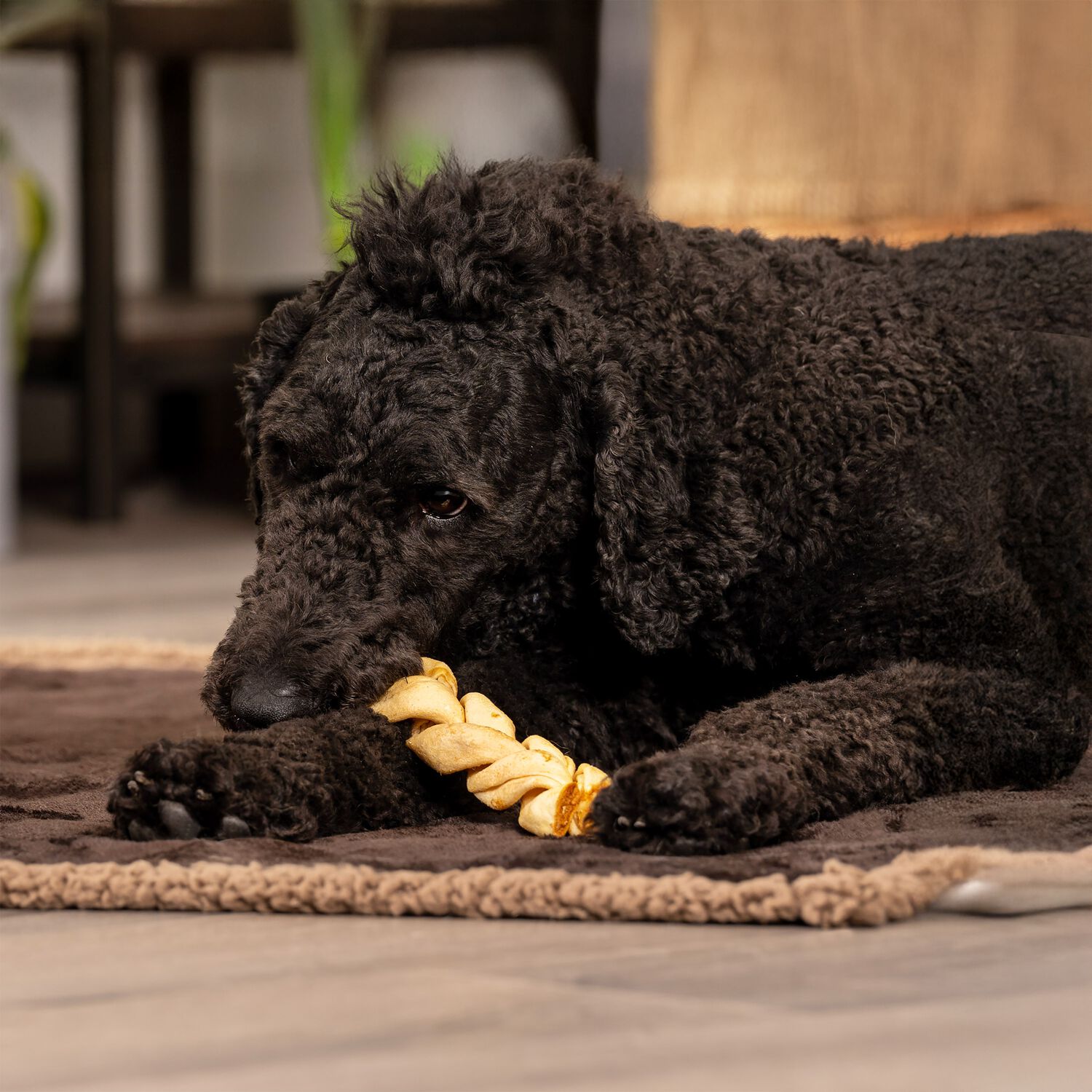 Pet Factory American Beefhide Braided Sticks Dog Treats, Beef & Chicken Variety Pack, 6" Pack Of 6