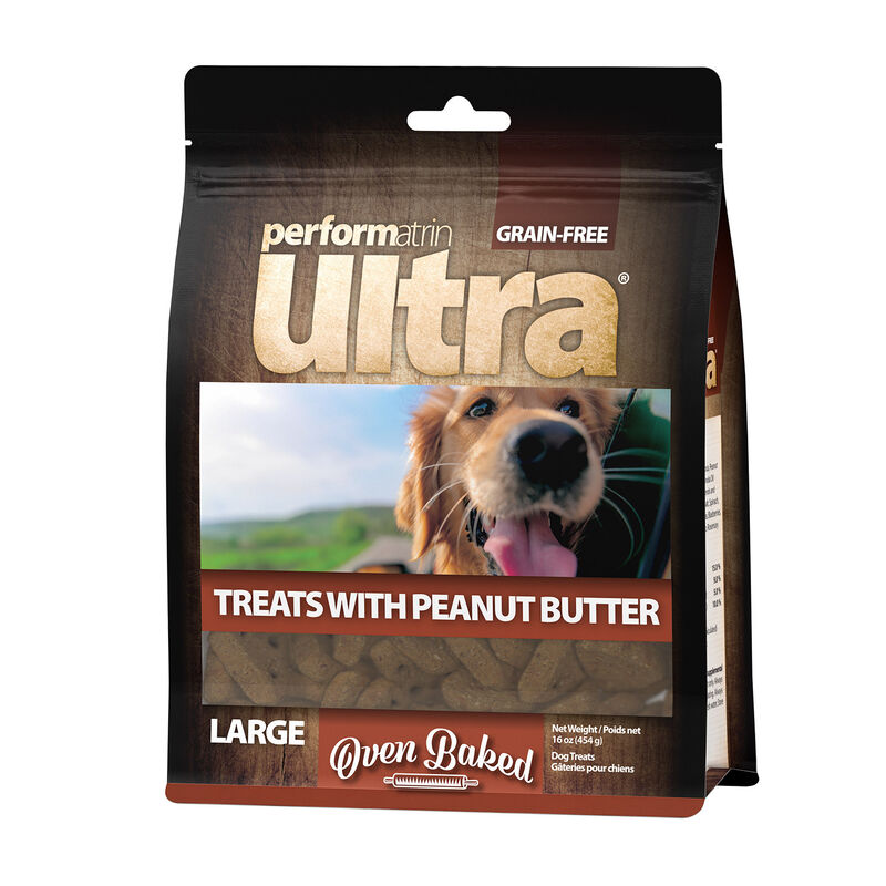 Oven Baked Peanut Butter Large Dog Treat