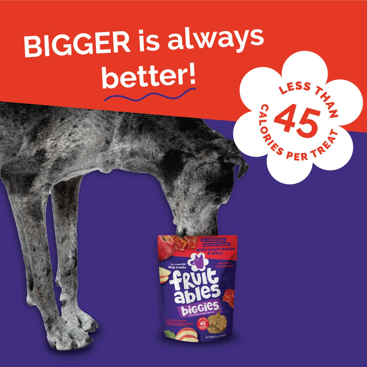 Fruitables Biggies Crunchy Biscuit Dog Treats, Crispy Bacon & Apple, 16-Oz