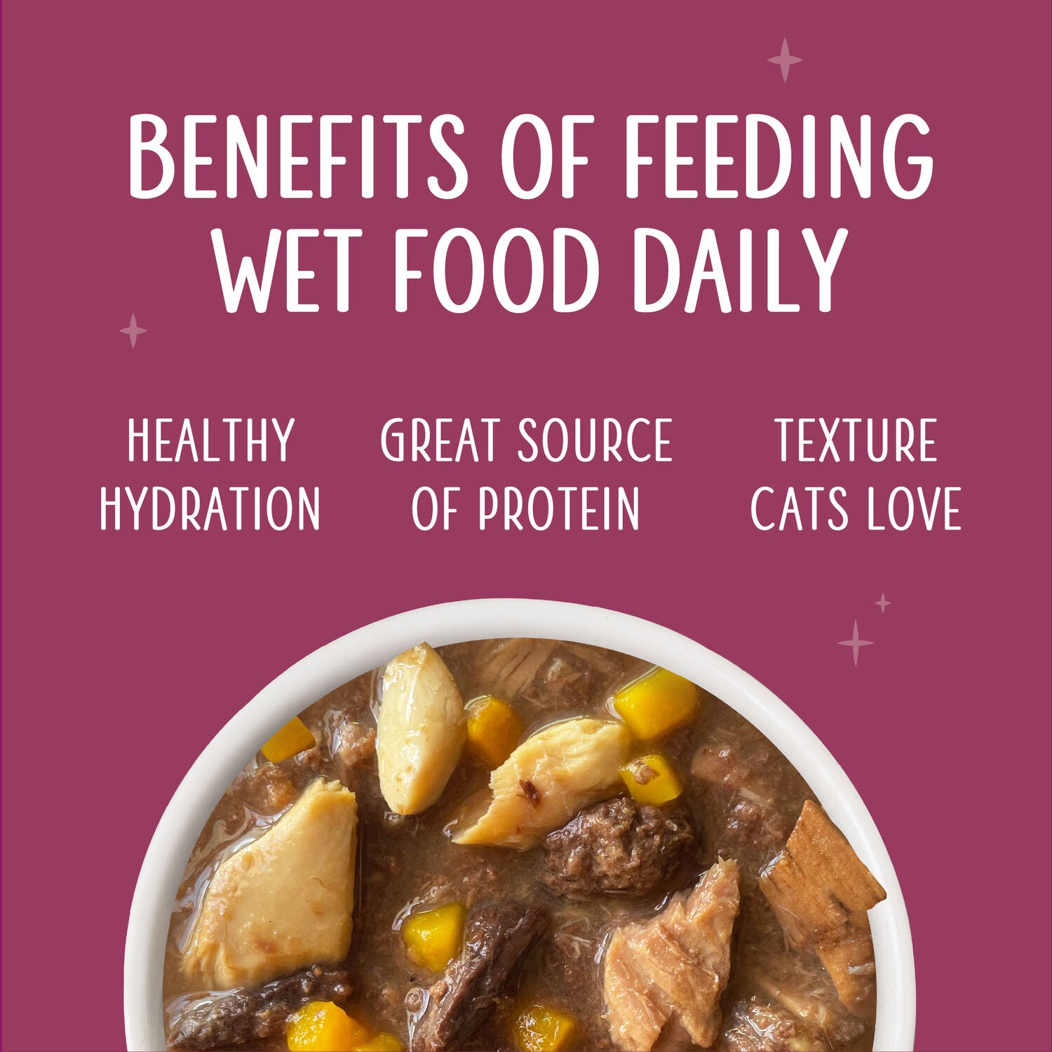 Weruva Cat Senior Tuna & Salmon Formula In Gravy Wet Cat Food, 3-Oz Can Pack Of 12