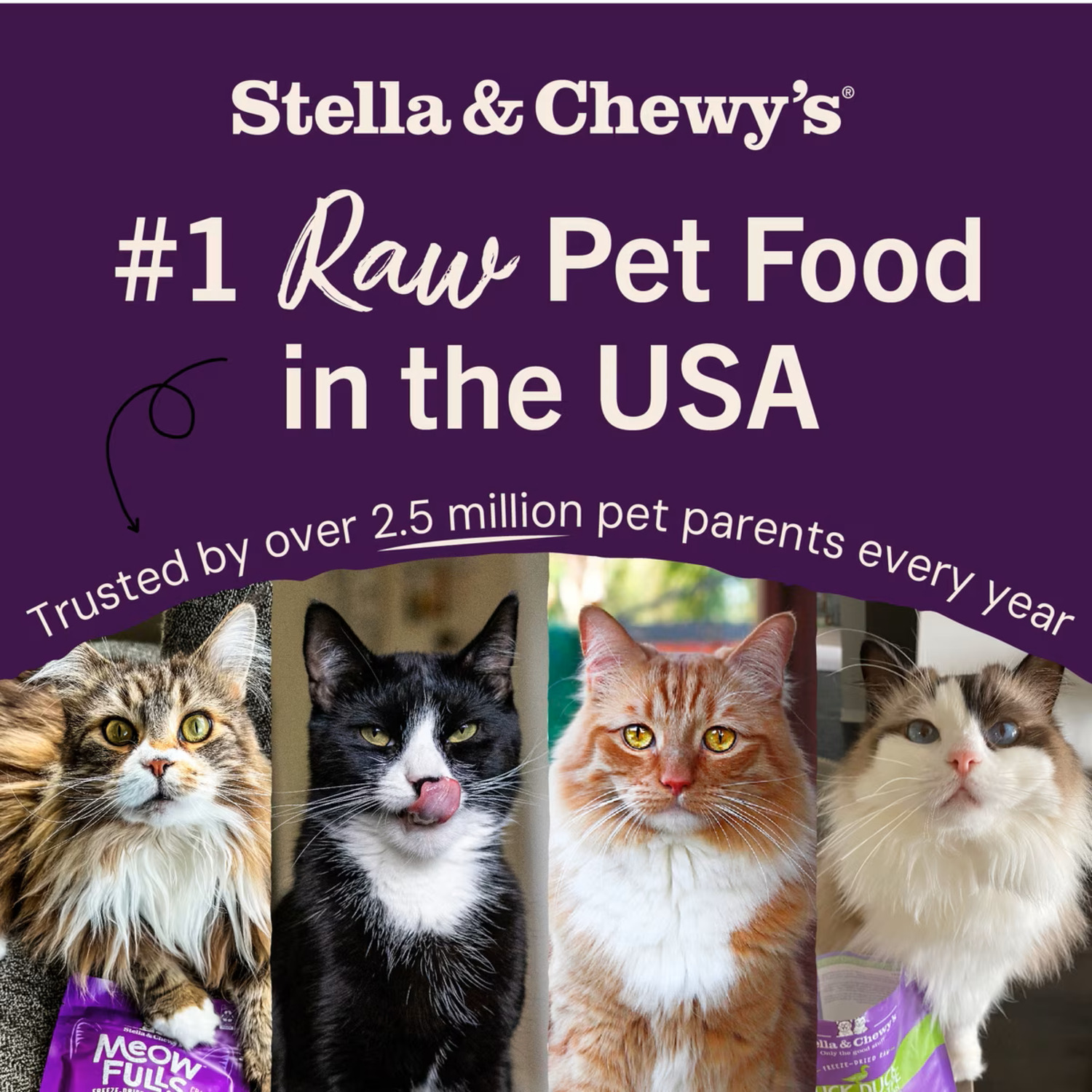 Stella & Chewy's Dinner Morsels Freeze-Dried Raw Cat Food, Yummy Lickin' Salmon & Chicken, 18-Oz Bag