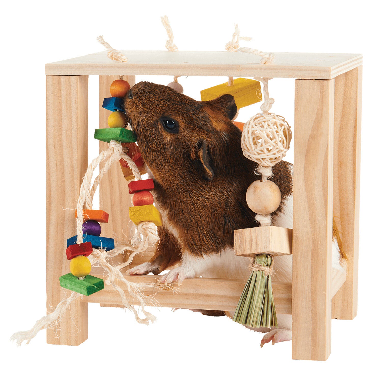 Oxbow Enriched Life Play Table Toy For Small Animals