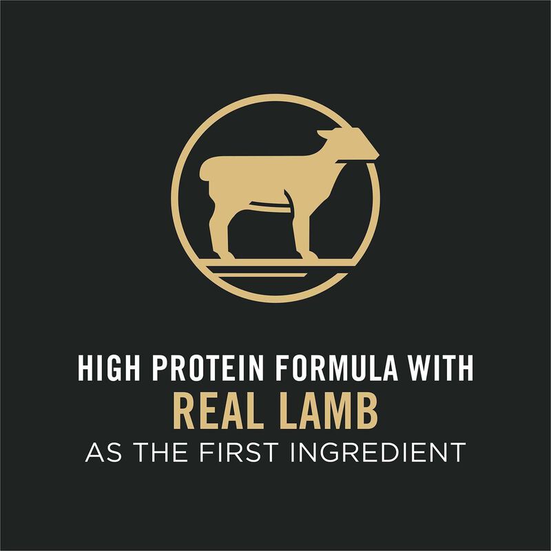Focus Puppy Lamb & Rice Formula Dog Food image number 20