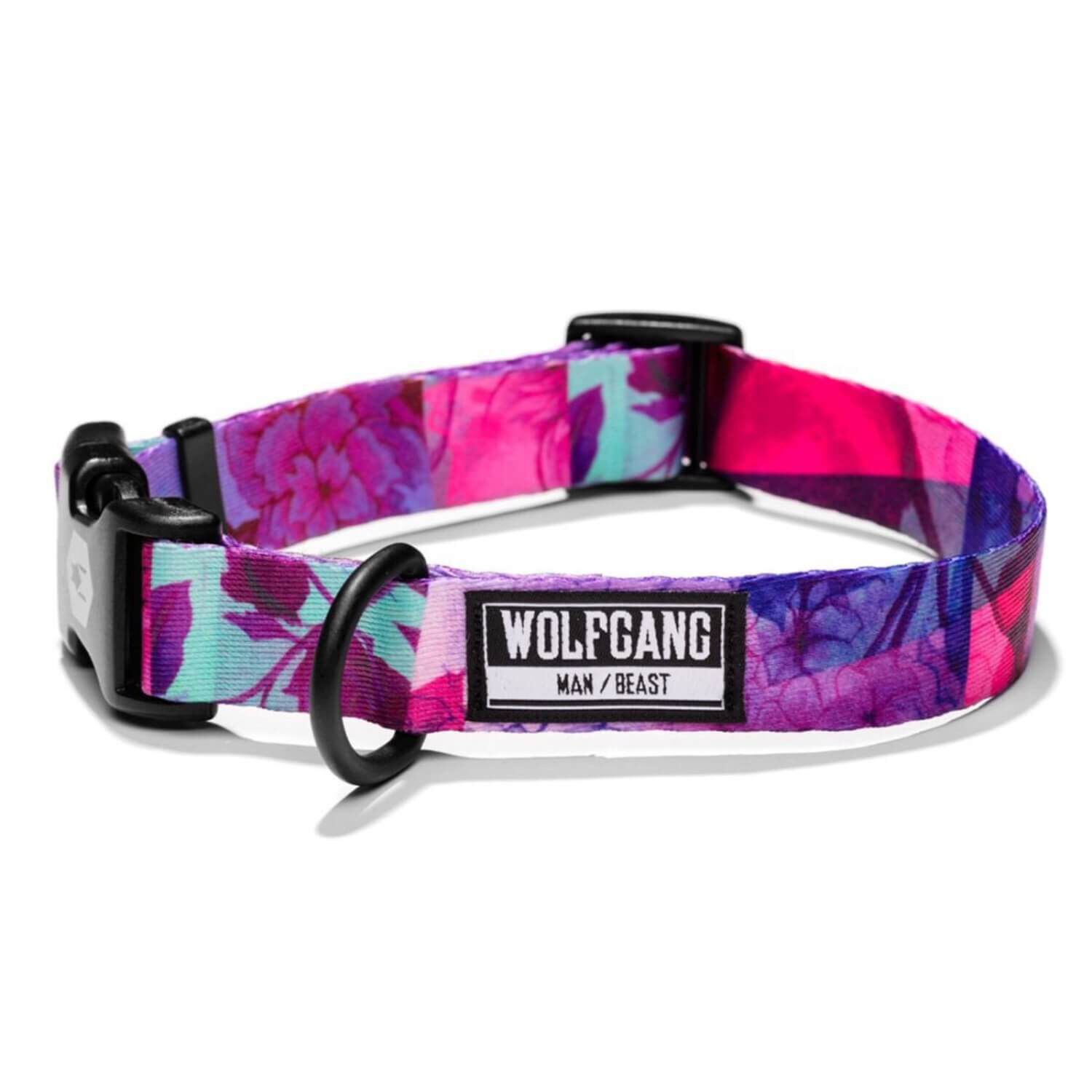 Coastal Pet Products Wolfgang Daydream Dog Collar, 1"