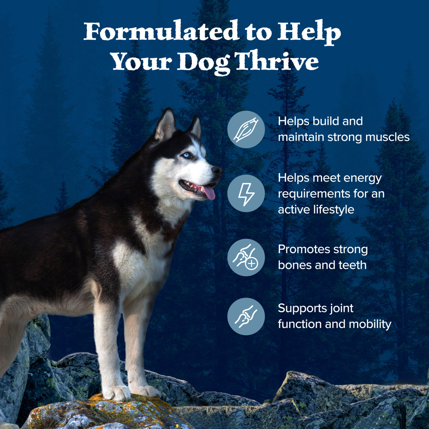 Blue Buffalo Wilderness High Protein Natural Adult Dry Dog Food Plus Wholesome Grains, Chicken, 24Lb