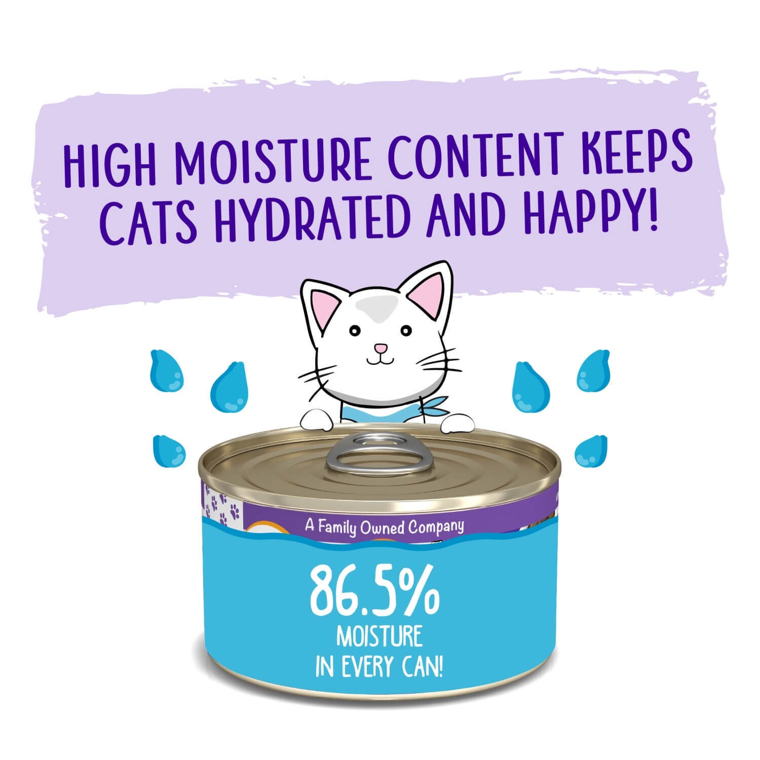 Weruva Classic Cat Pat&eacute; Meal Or No Deal! With Chicken & Beef Wet Cat Food