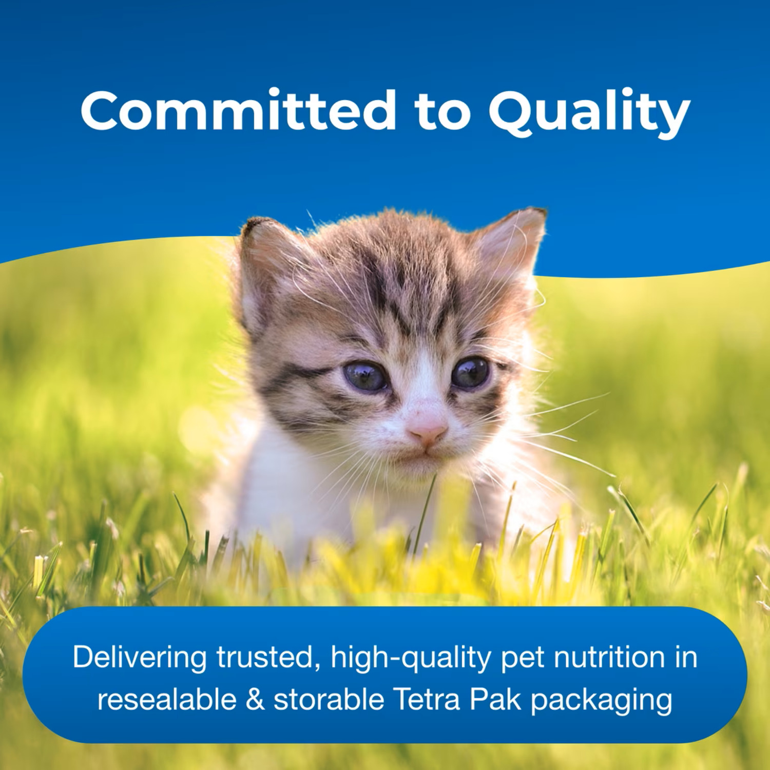 Petag Kitten Milk Replacer Liquid Kitten Supplement, 16-Fl Oz