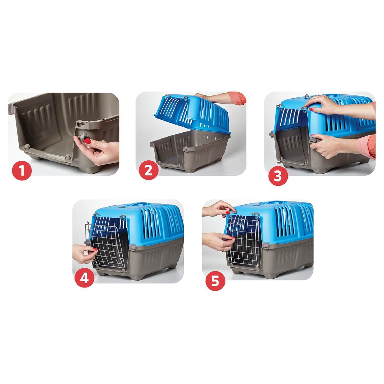 青梅10kg Midwest Spree Blue Plastic Hard-Sided Pet Carrier, 24In | Pet