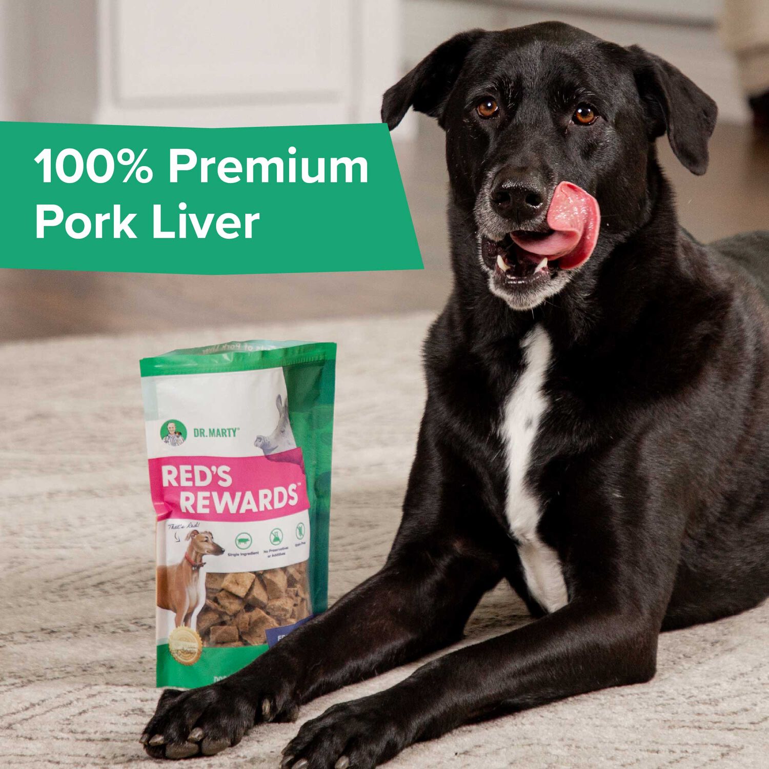 Dr. Marty Red's Rewards Freeze Dried Raw Pork Liver Dog Treats, 4-Oz Bag