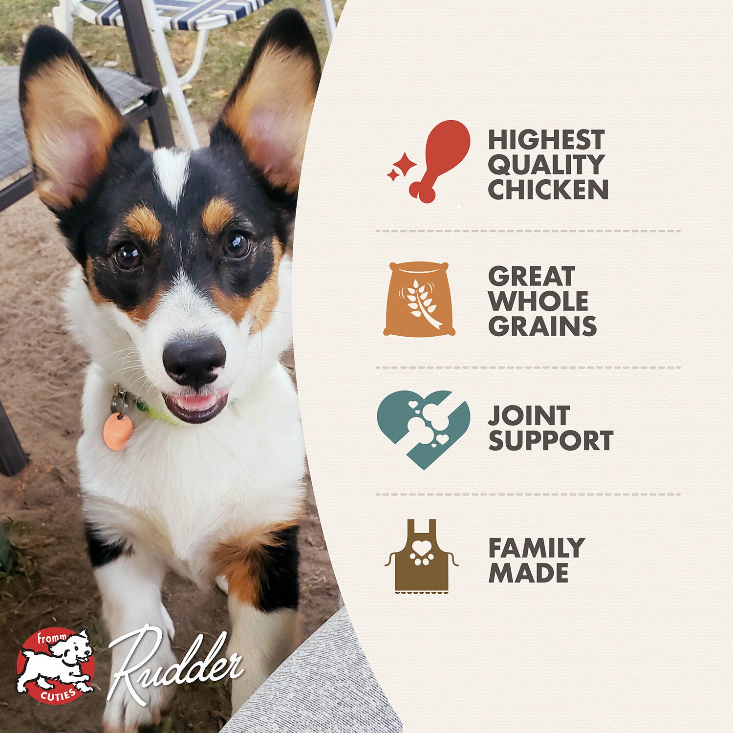Fromm Classic Puppy Dry Dog Food, 30Lb