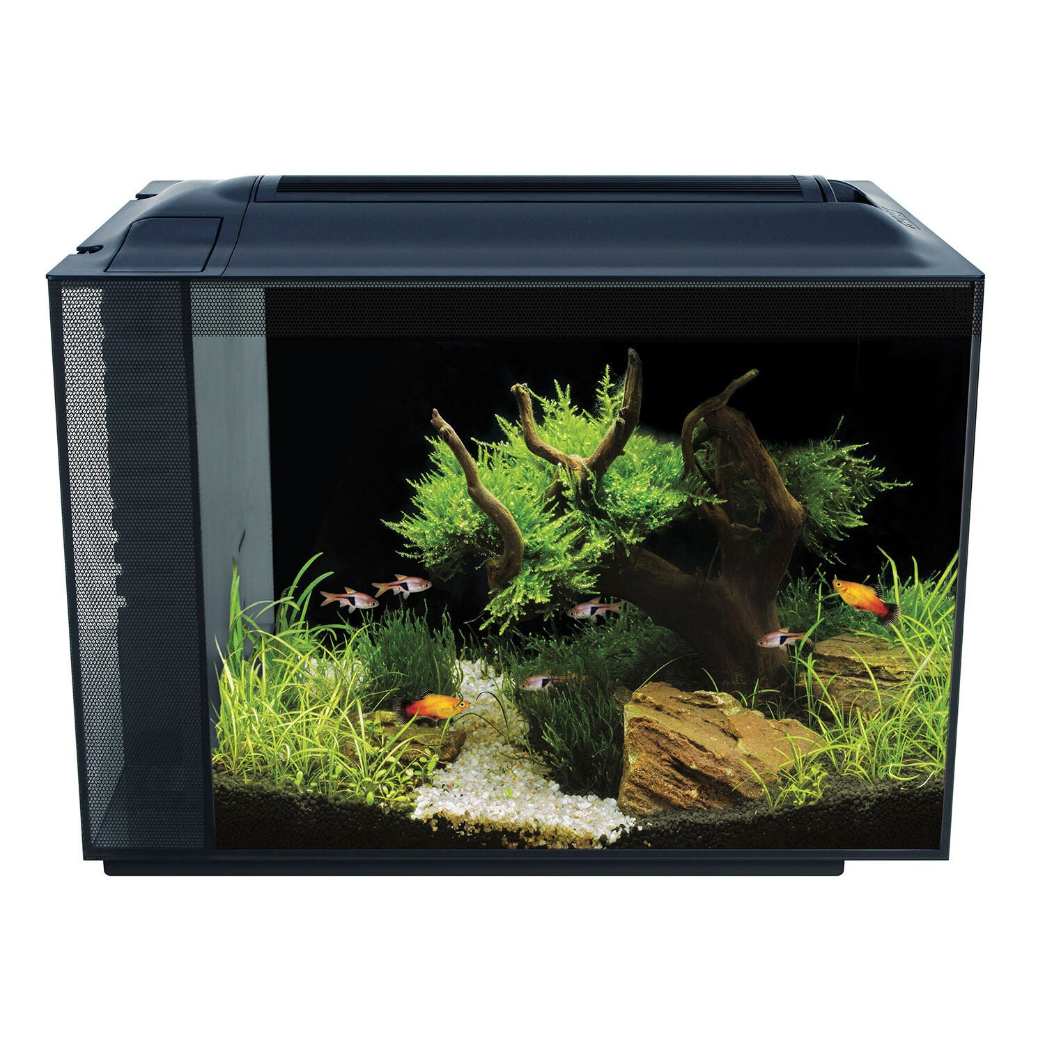 
        Spec Aquarium Kit | 229.99 USD | Pet Supermarket-image