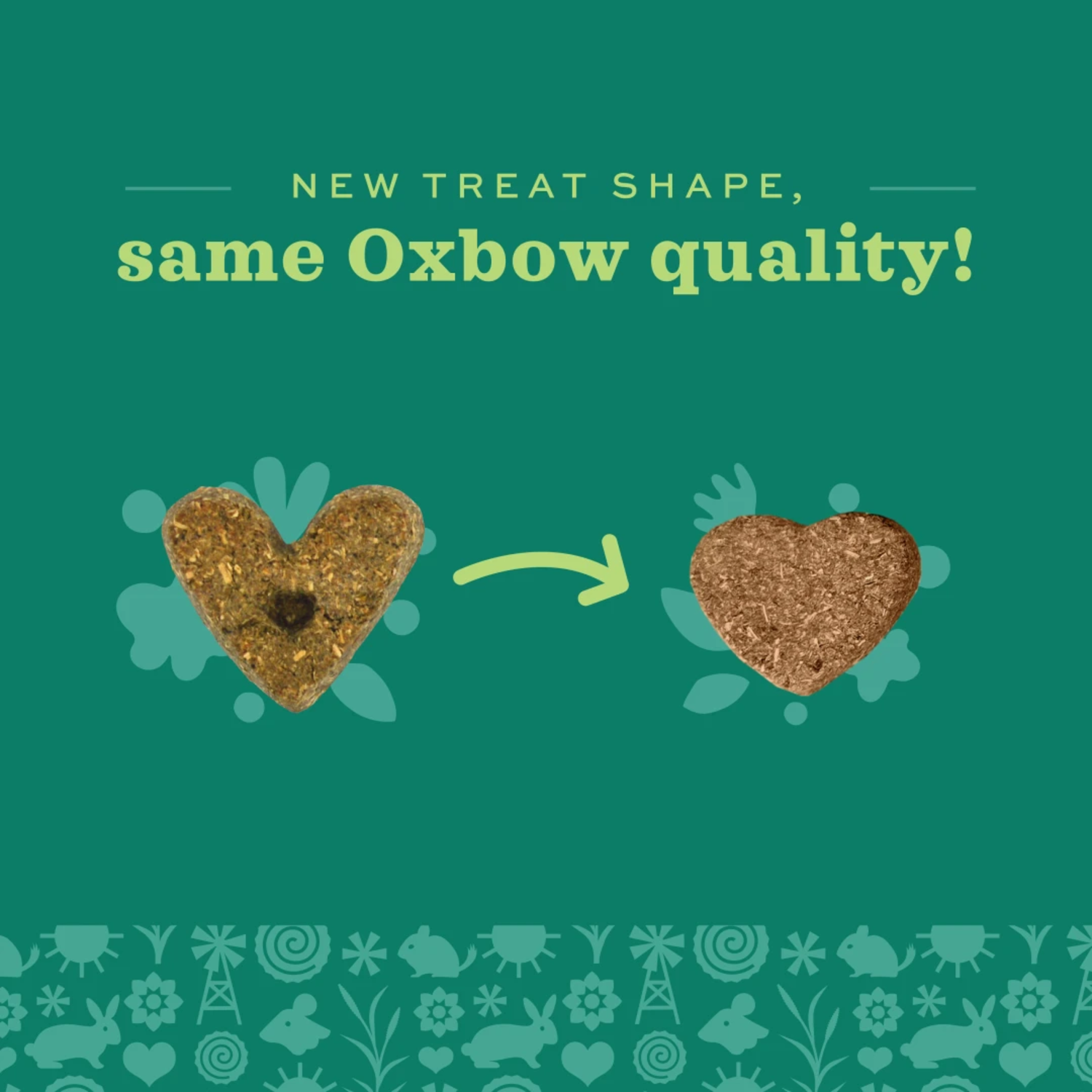 Oxbow Simple Rewards Baked With Cranberry Small Animal Treats, 3-Oz