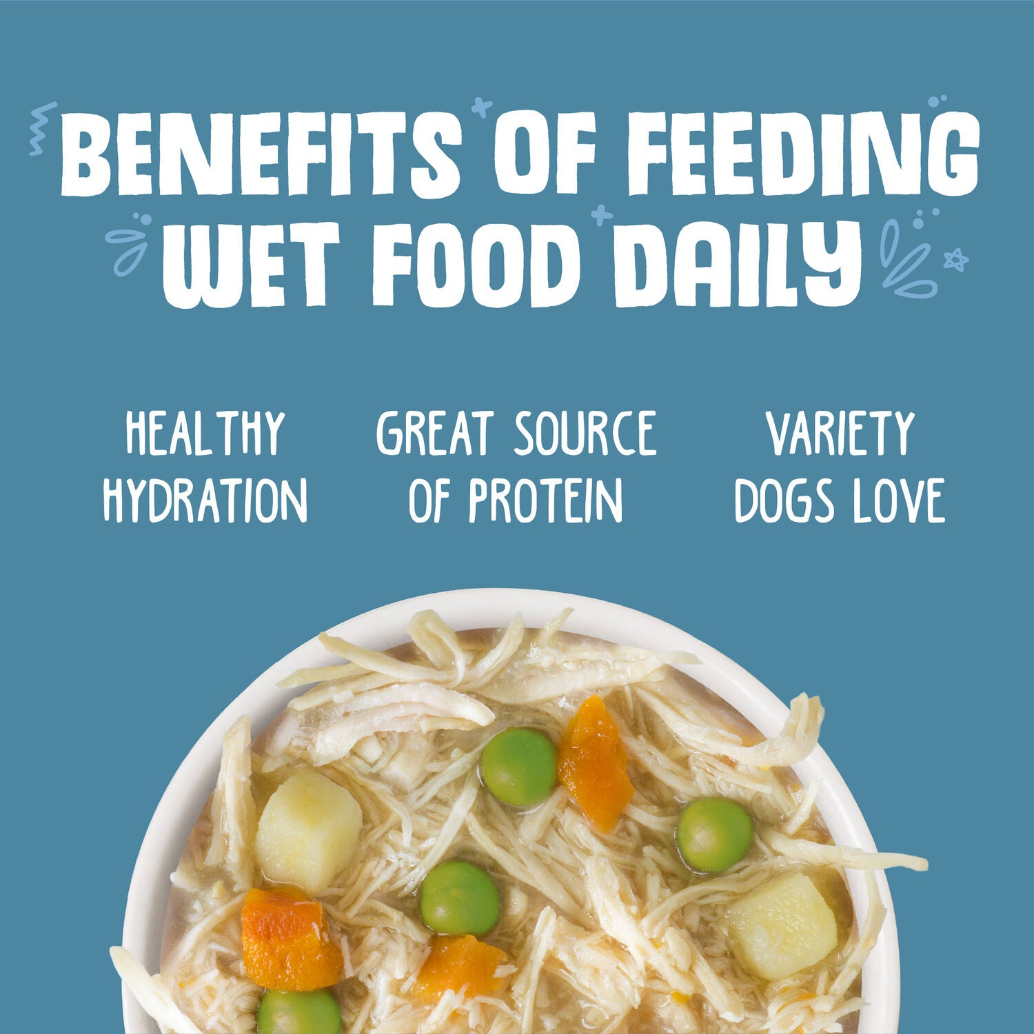 Weruva Grandma's Chicken Soup With Chicken & Veggies Wet Dog Food