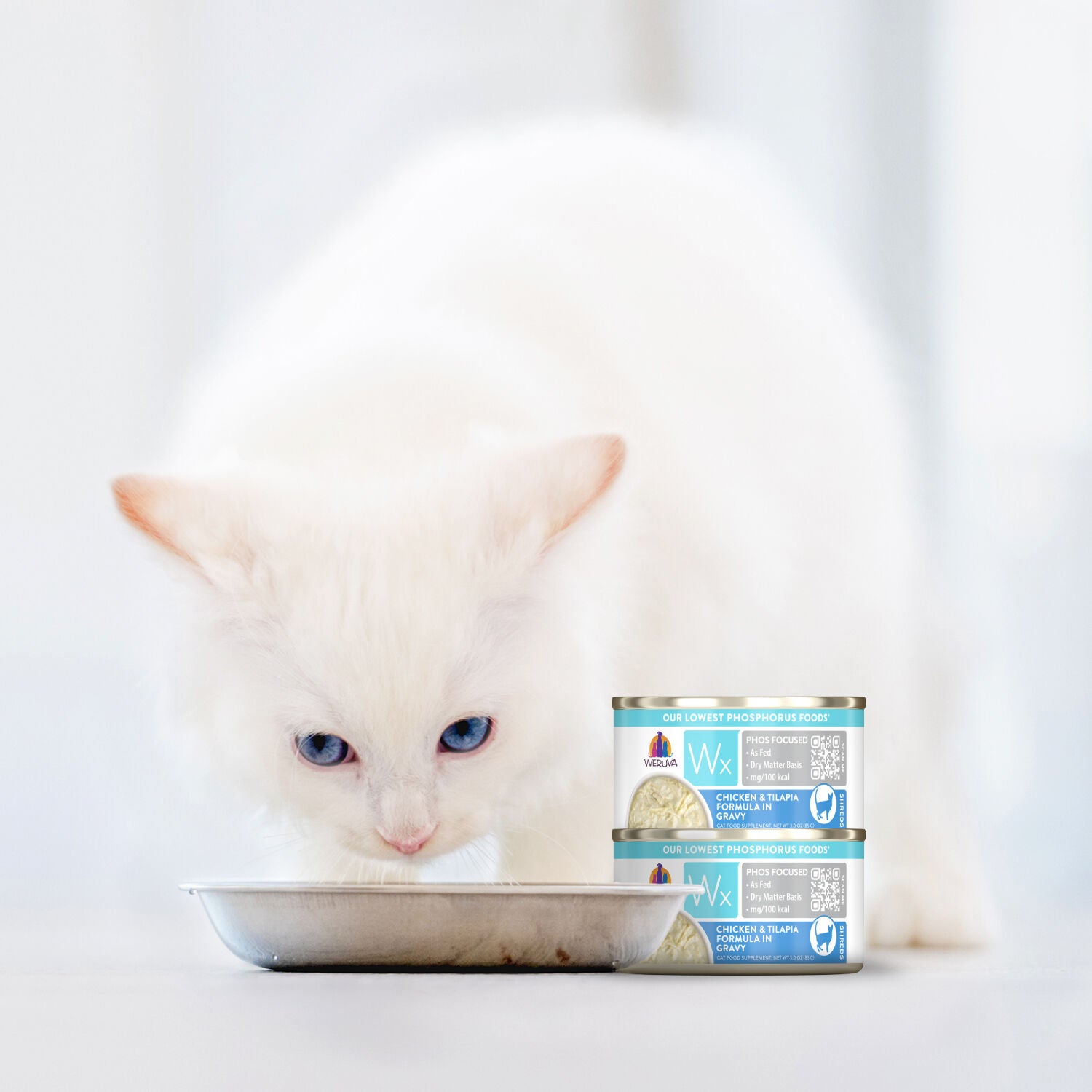 Weruva Wx Phos Focused Chicken & Tilapia Formula In Gravy Wet Cat Food, 3-Oz Can