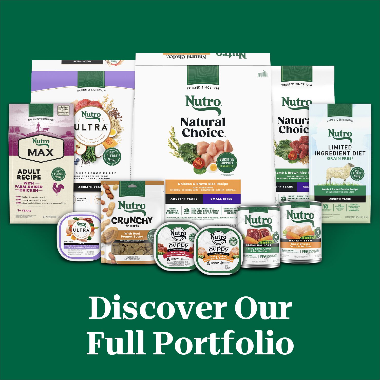 Nutro Wholesome Essentials Small Bites Adult Farm-Raised Chicken, Brown Rice & Sweet Potato Recipe Dog Food, 30-Lb Bag