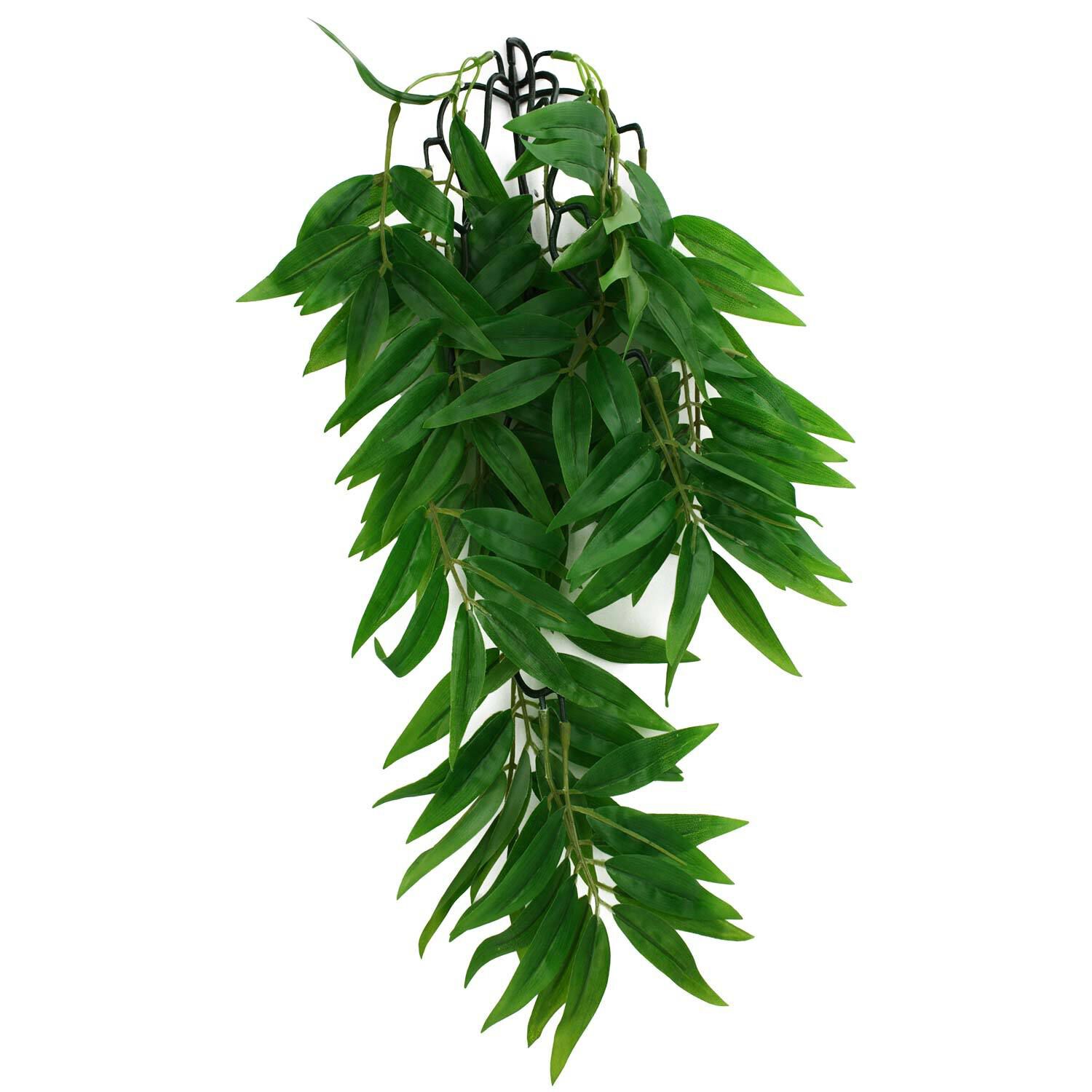 Komodo Bamboo Plant For Reptiles
