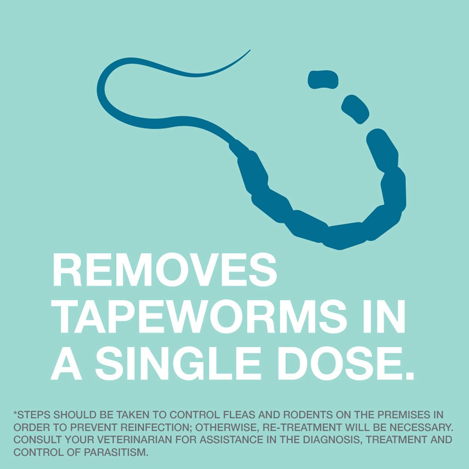 Elanco Tapeworm Dewormer For Cats
