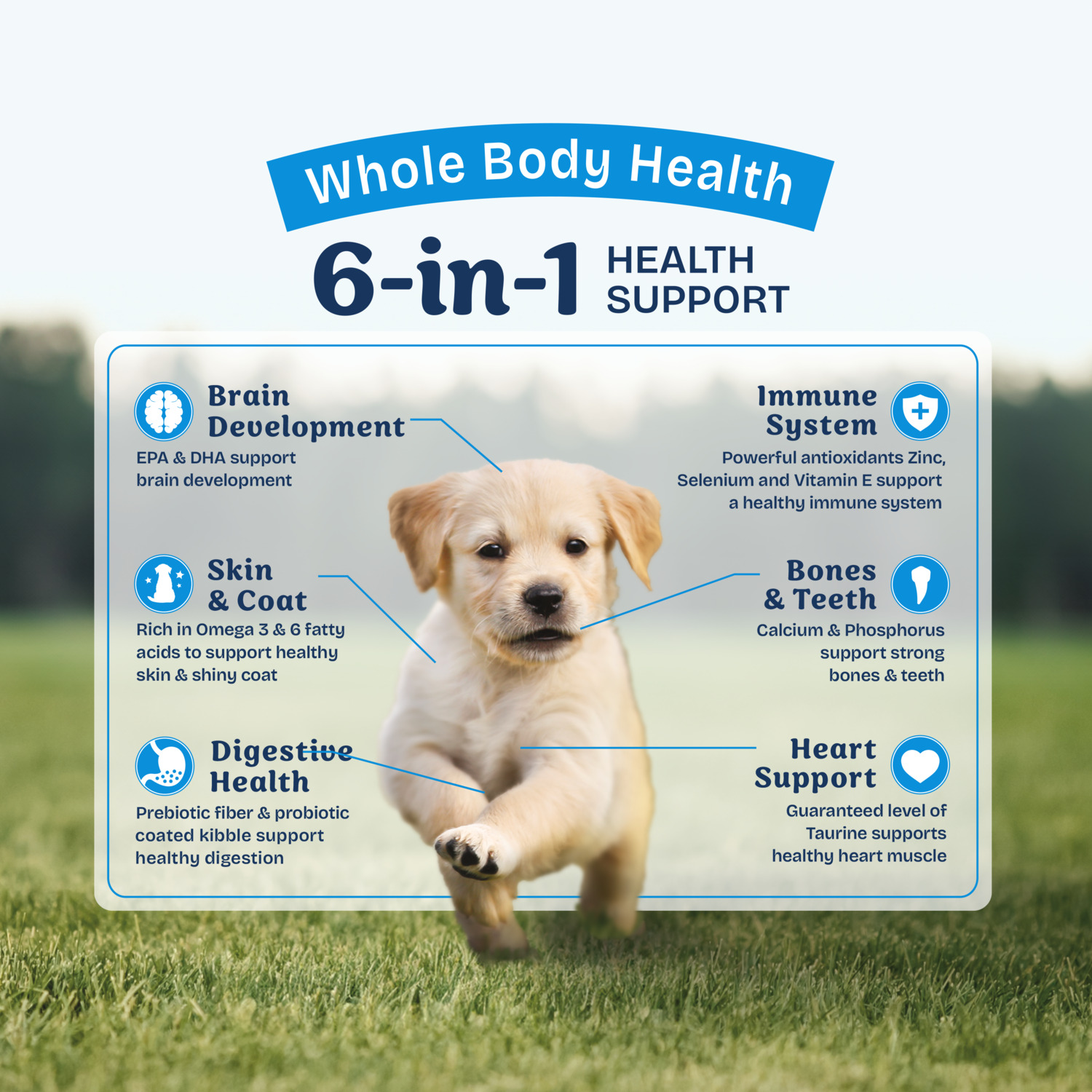 Natural Balance Health Protection Puppy Dry Dog Food, Chicken, Brown Rice & Pumpkin Recipe, 12-Lb