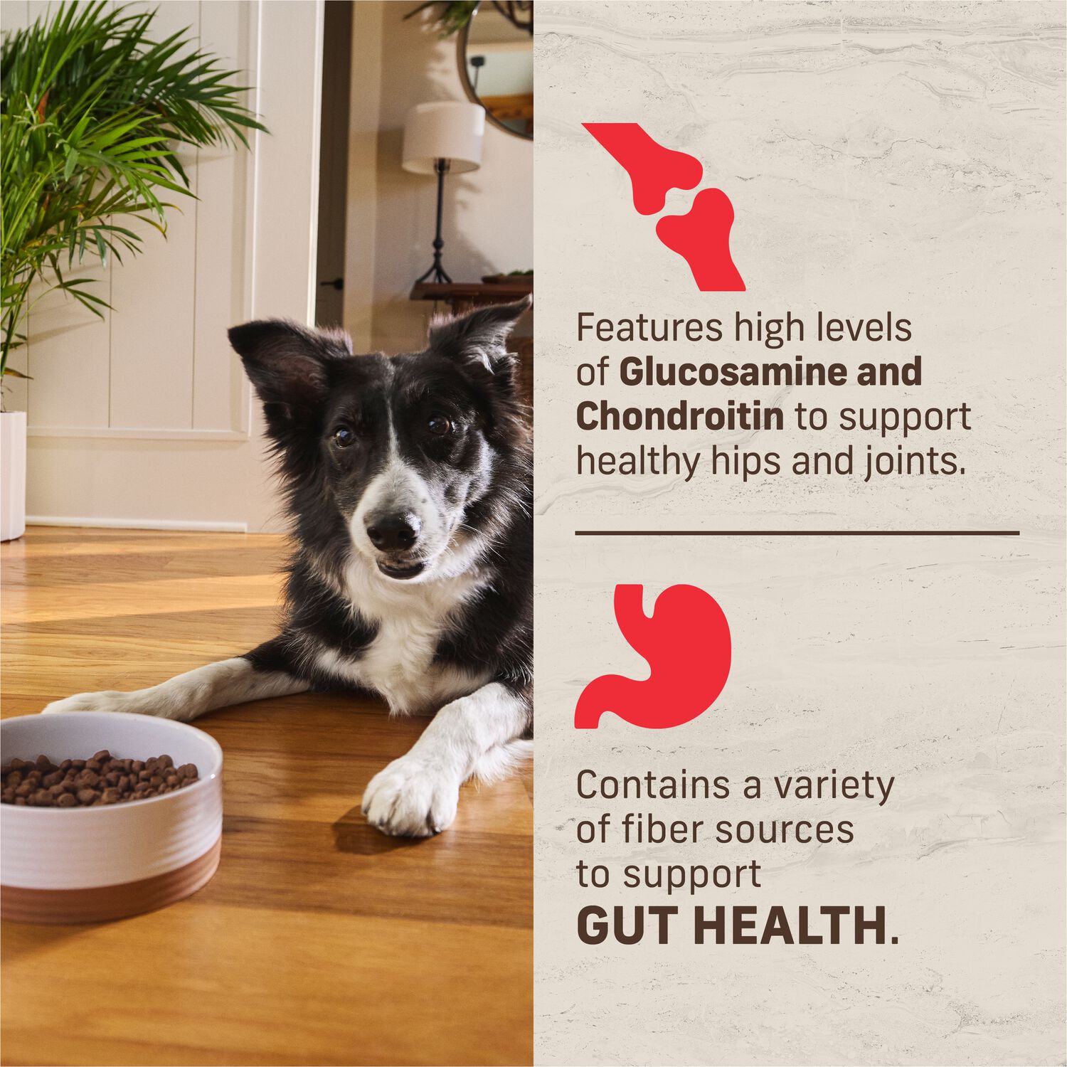 Merrick Kitchen Comforts Real Deboned Beef And Brown Rice Dry Dog Food, 4-Lb Bag