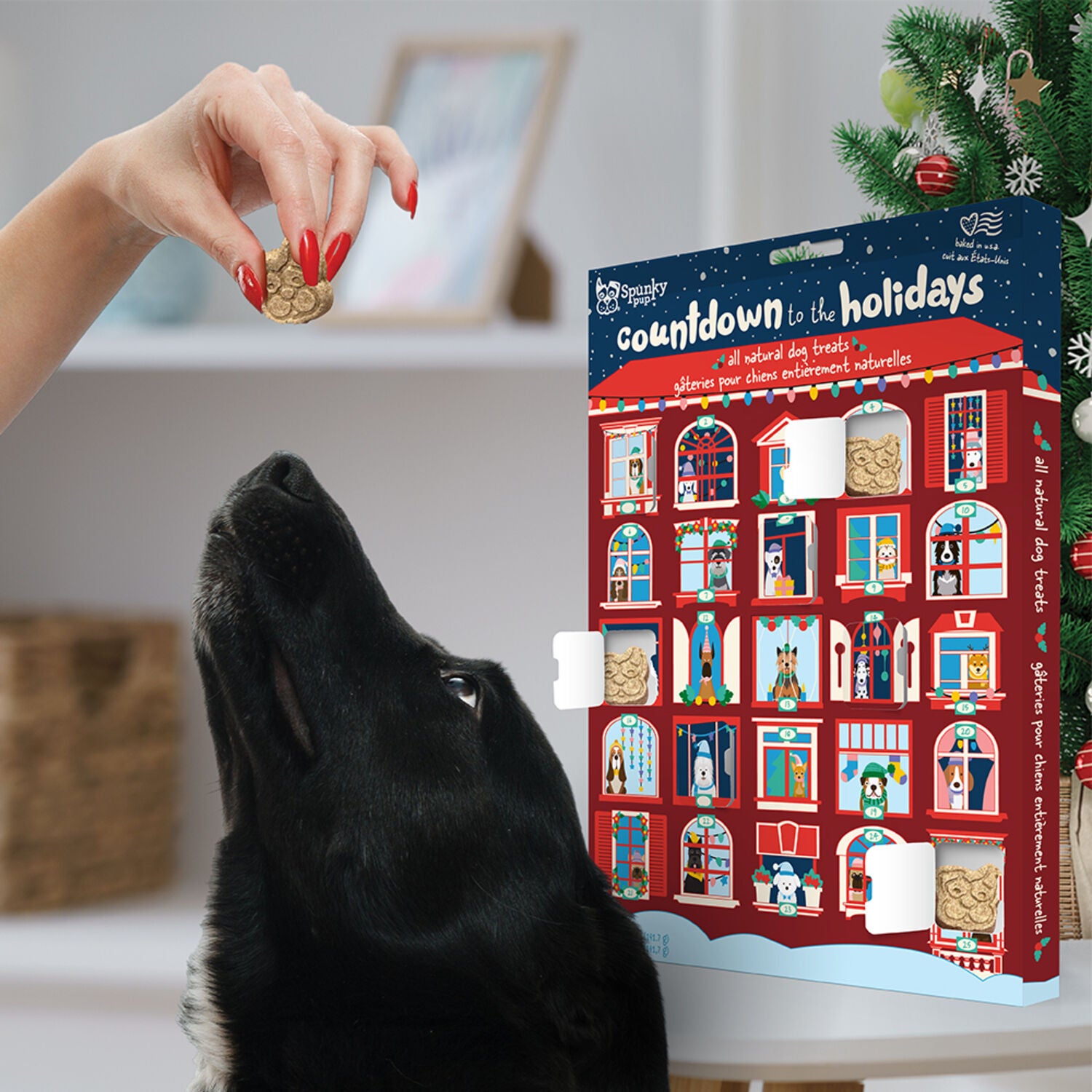 Spunky Pup Countdown To The Holidays Biscuit Dog Treat Advent Calendar