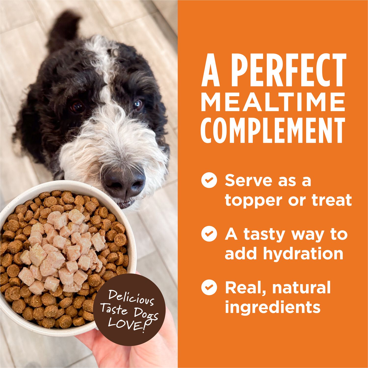 Instinct Healthy Cravings Grain-Free Chicken In Gravy Wet Dog Food Topper, 3-Oz