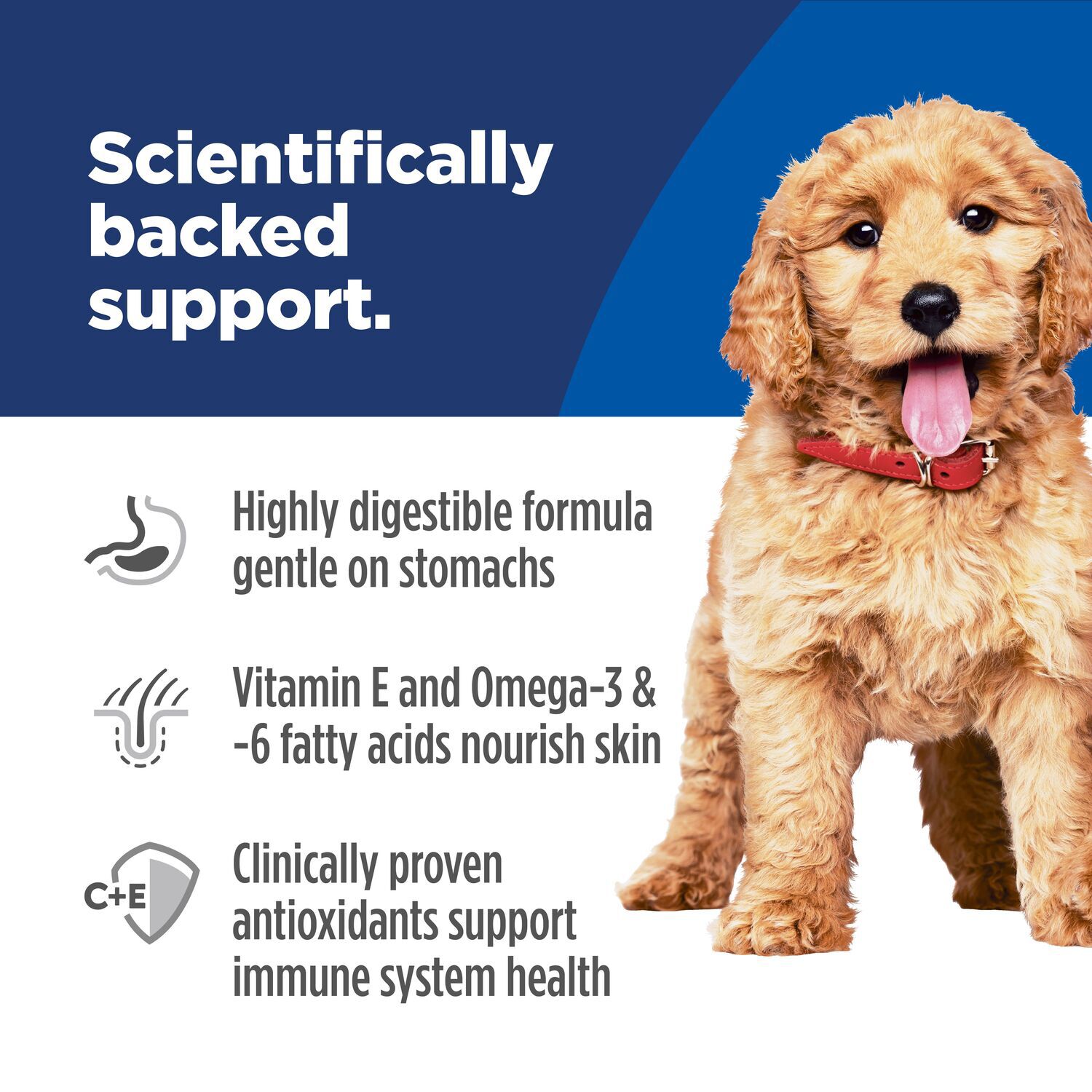 Hill's Science Diet Puppy Sensitive Stomach & Skin Salmon & Brown Rice Recipe Dry Dog Food, 4-Lb.