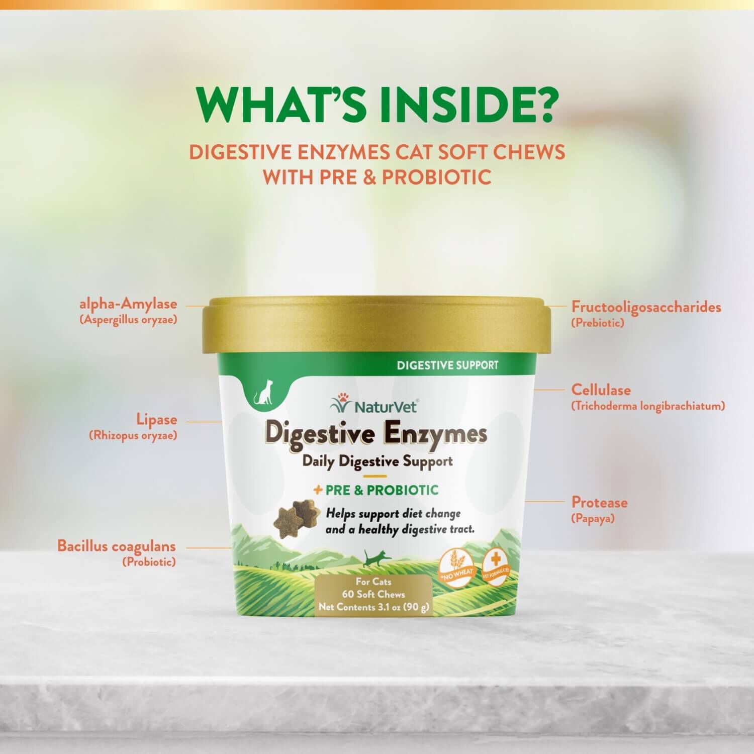 Naturvet Digestive Enzymes Pre+Probiotic Daily Soft Chew Supplement For Cats