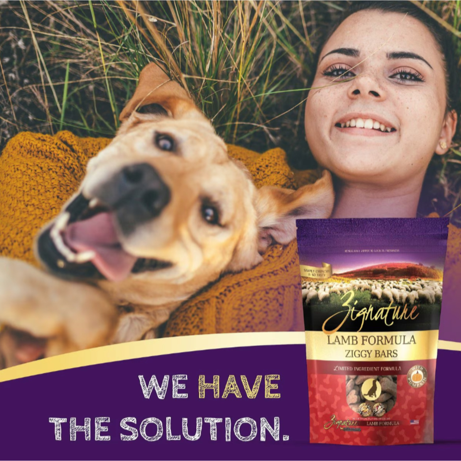 We have the solution.