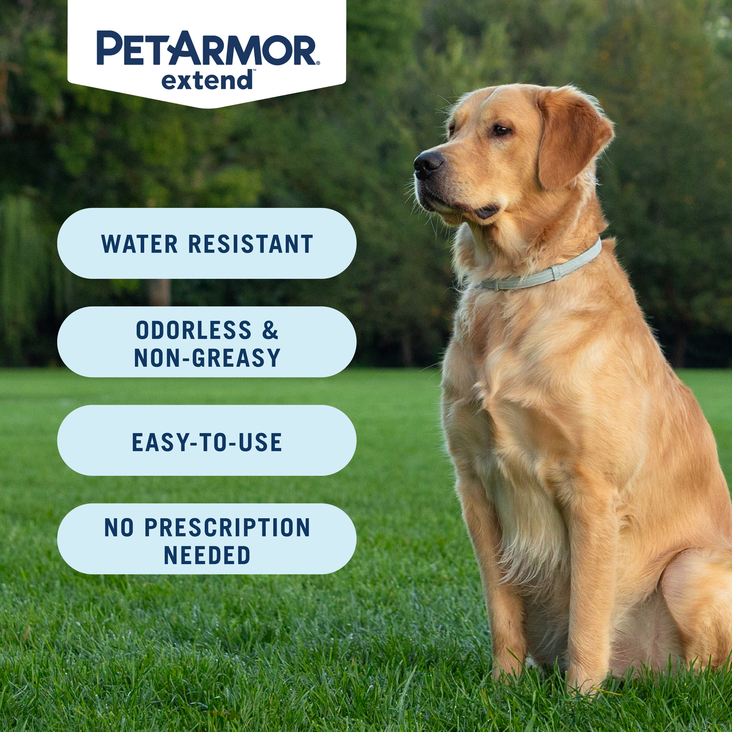 Petarmor Extend Flea & Tick Large Dog Collar, 8 Months Of Protection, 1 Each