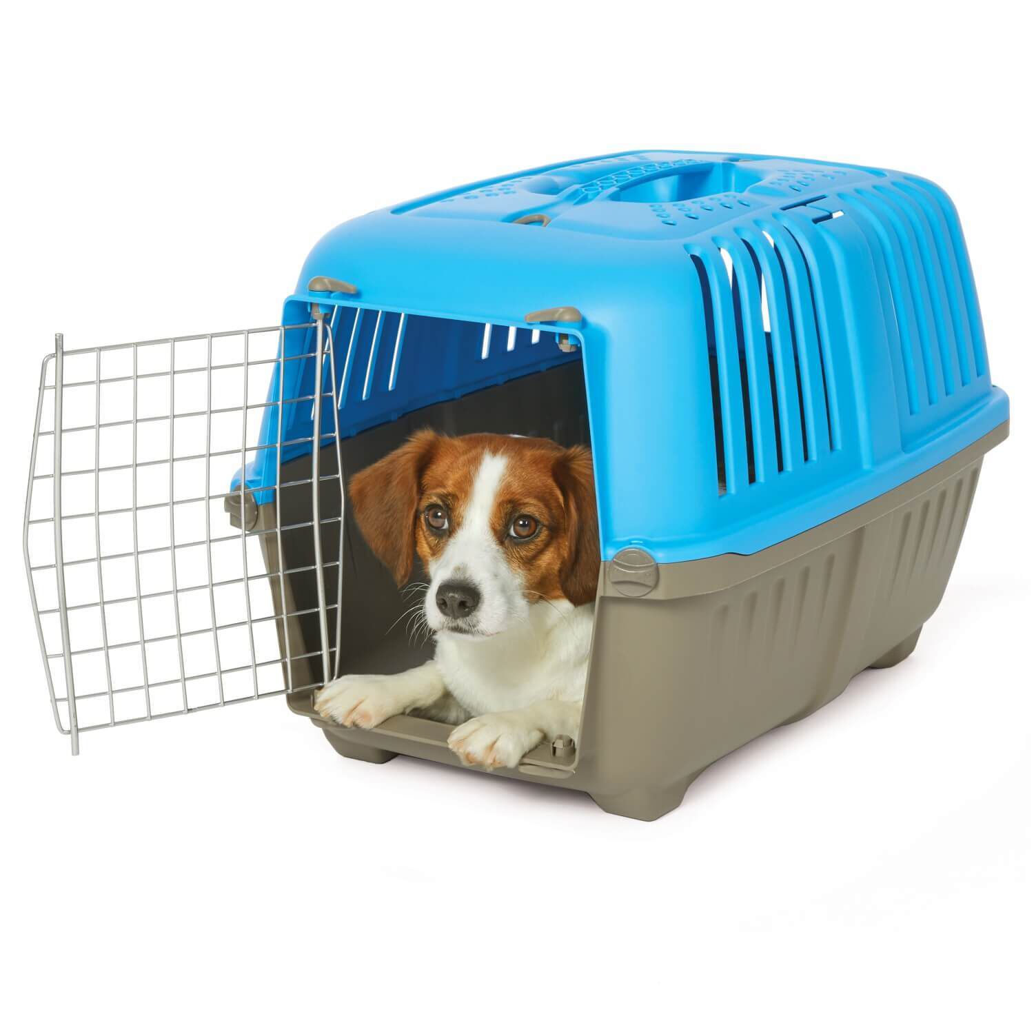 Midwest Spree Blue Plastic Hard-Sided Pet Carrier, 24In | Pet