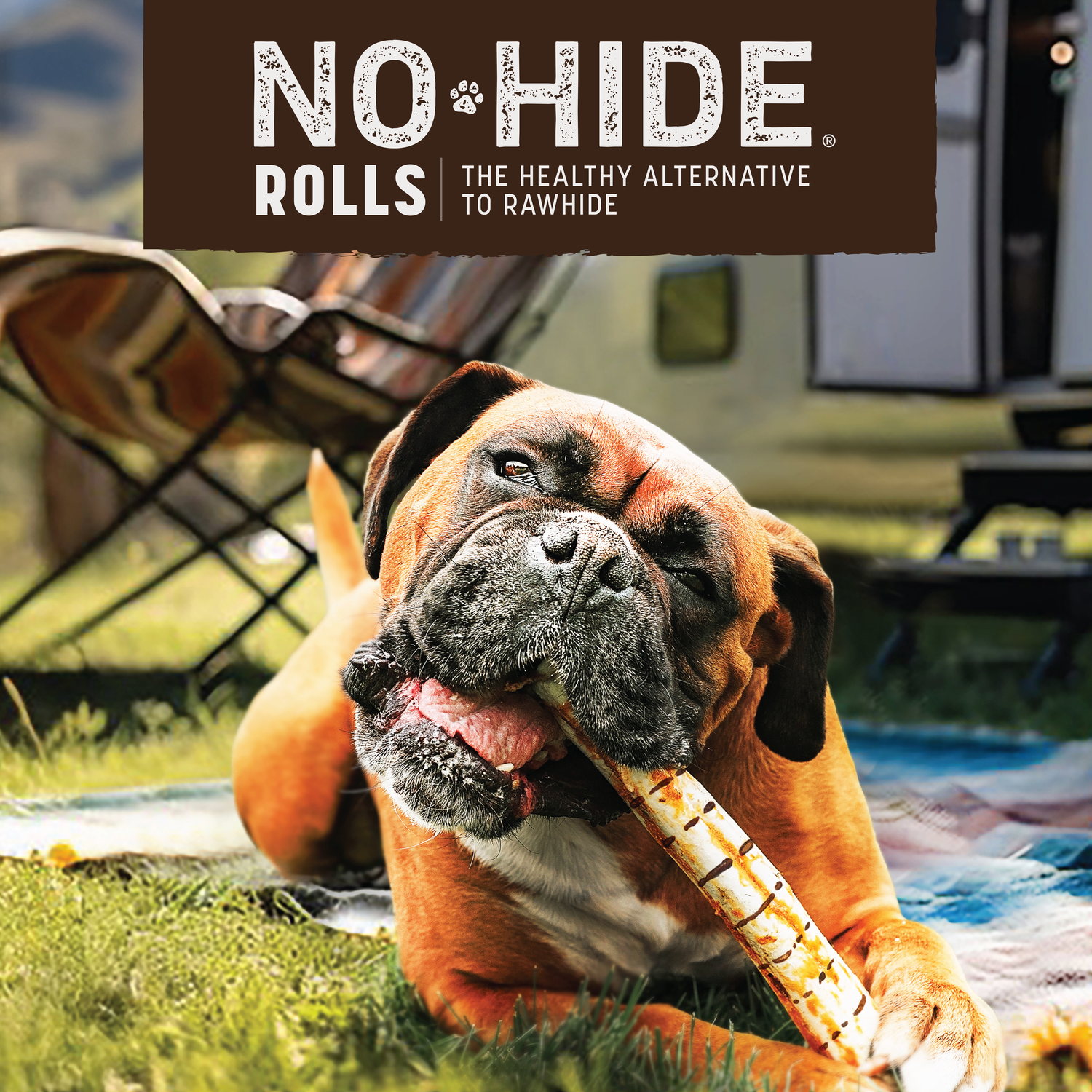 Earth Animal No-Hide Rawhide Alternative Dog Treats, From The Grill Bacon Cheeseburger Flavor Roll, Medium