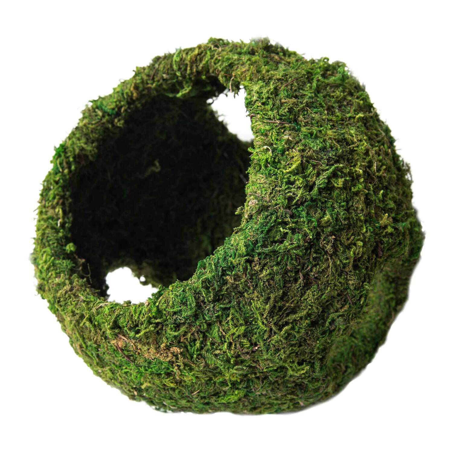 Gal&aacute;pagos Mossy Cave With Holes, Green, 8In Diameter