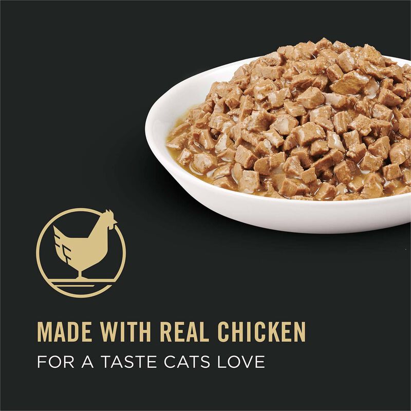 Focus Adult Urinary Tract Health Formula Chicken Entree In Gravy Cat Food