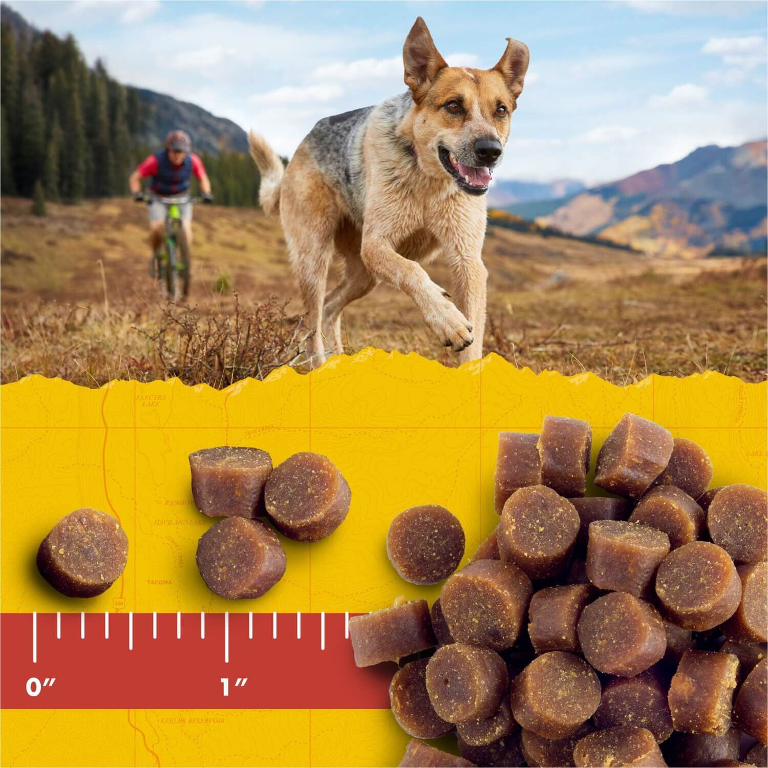 Zuke's Mini Naturals Beef Recipe Dog Training Treats