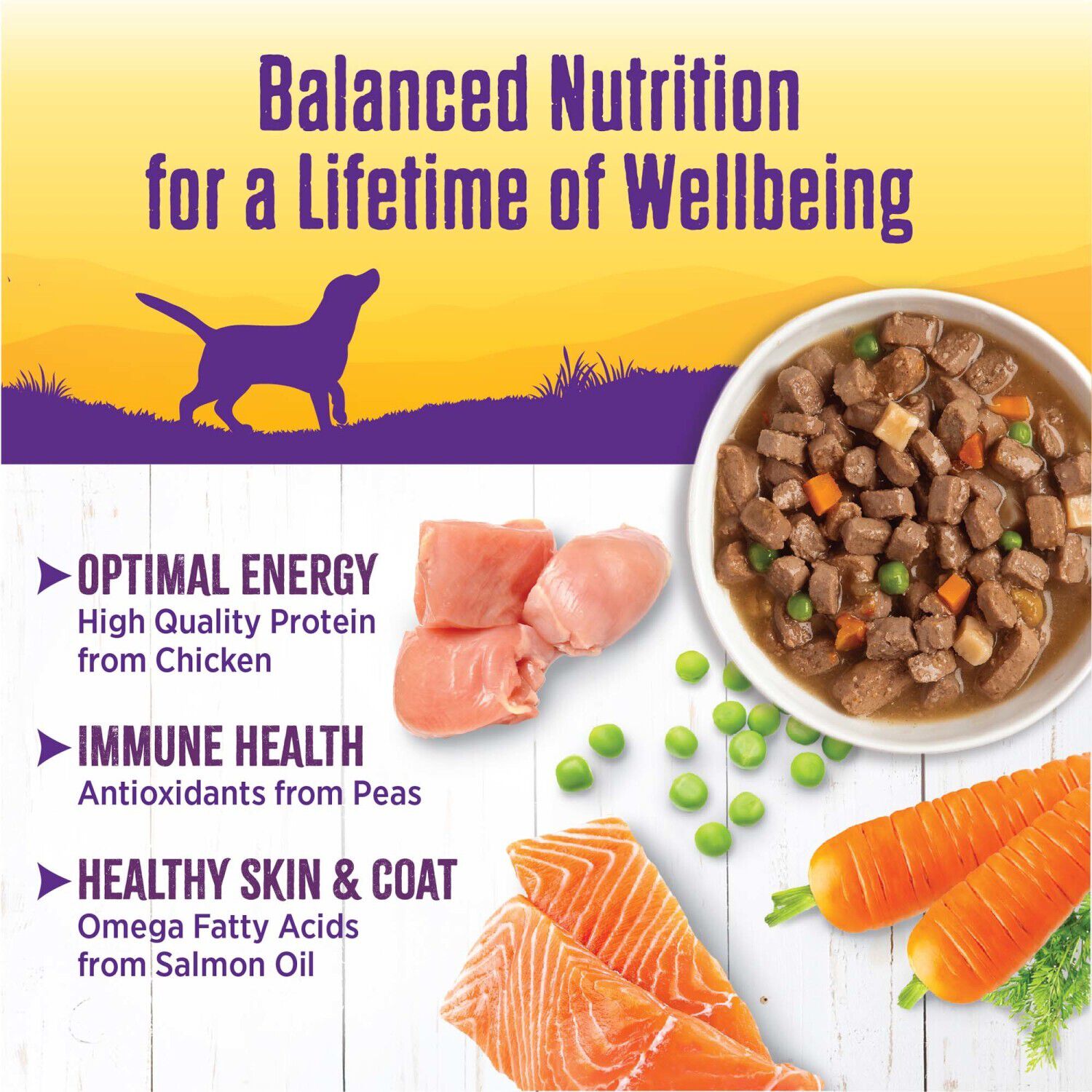Wellness Complete Health Grain Free Canned Wet Dog Food, Chicken Stew, 12.5-Ounce Can